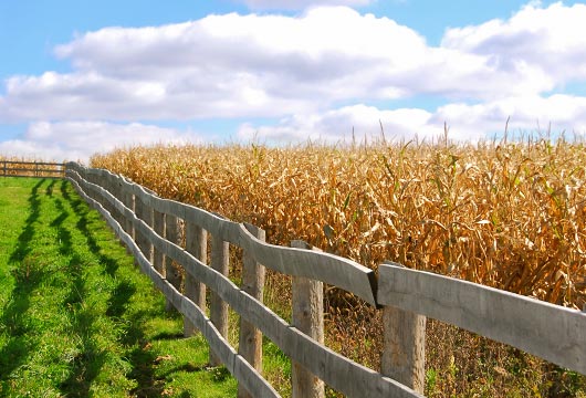 Iowa Farm land