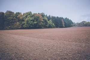 Buying or selling rural land in Nebraska and Iowa