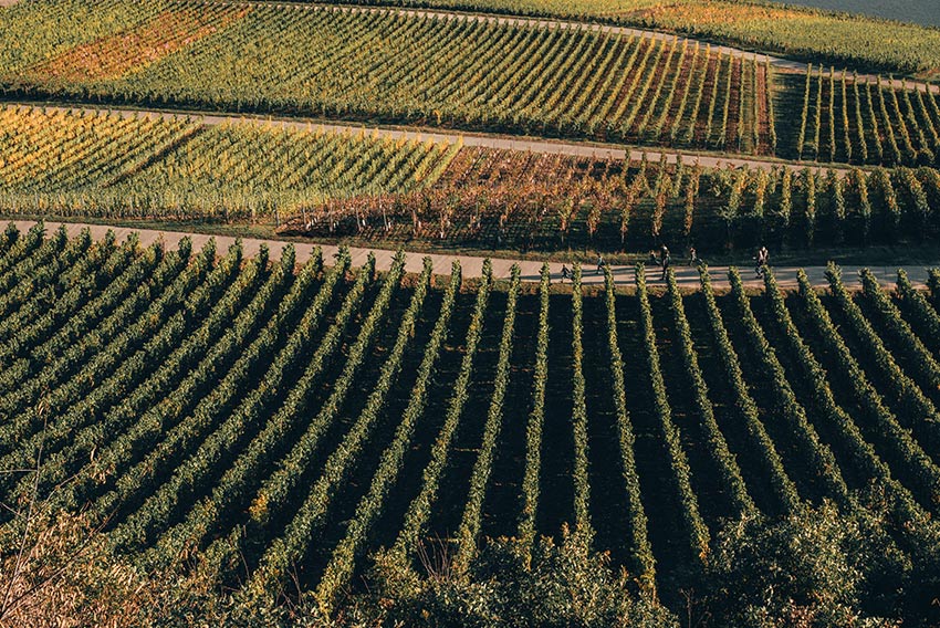 Buying or selling land in Iowa and Nebraska