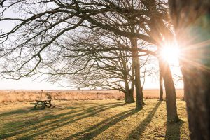 Buying or selling an acreage property